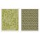 Sizzix® Textured Impressions™ Embossing Folder Set 2PK - Dots & Flowers #2 by Basic Grey™