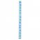 Spiral Safisa Ribbon Reel - Pastel Blue Happy Birthday w/Balloons 10mm x 3.5m