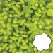 Nellie Snellen© Magic Dots Moss Green Flowers 3mm / 200pc MDF012
