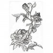 Sizzix® 3-D Texture Fades™ Embossing Folder - Mini Rose by Tim Holtz®