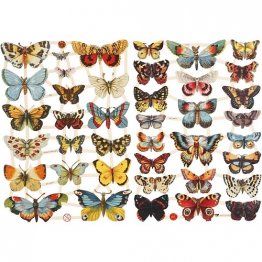 Creativ Company® Vintage Die-Cuts - Butterflies (2pk)
