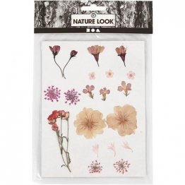 Creativ Company® Nature Look - Pressed Flowers