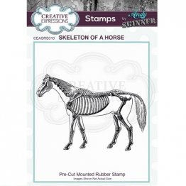 Creative Expressions® Stamps by Andy Skinner® - Skeleton of a Horse