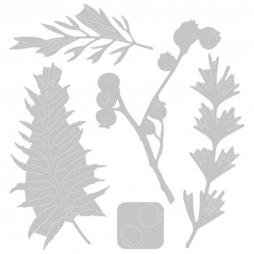 Sizzix® Thinlits™ Die Set 5PK - Natural Leaves by Jen Long®