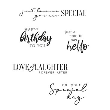 Sizzix® Clear Stamps - Sunnyside Sentiments #6 by Pete Hughes®