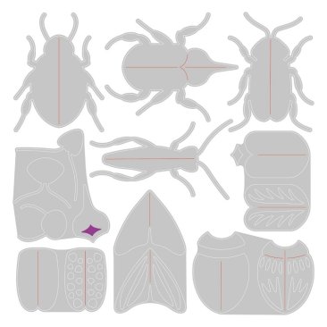 Sizzix® Thinlits™ Die Set 9PK - Patterned Bugs by Jennifer Ogborn®