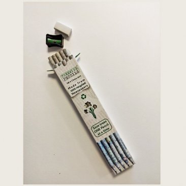 Treewise Pencils™ HB #2 Writing Pencils (10pk) incl. Pencil Sharpener & Eraser