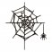 Sizzix® Thinlits™ Die Set 2PK - Spider Web by Tim Holtz®