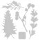 Sizzix® Thinlits™ Die Set 5PK - Natural Leaves by Jen Long®