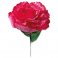 Sizzix™ Thinlits Die Set 4PK - Carnation by Olivia Rose®