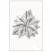 Sizzix® 3-D Impresslits™  Embossing Folder - Poinsettia by Kath Breen®