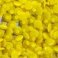 Nellie Snellen© Magic Dots Yellow Round 3mm / 200pc MD014
