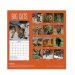 Tallon© 2022 'Month-to-View' Wall Calendar - Big Cats
