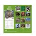 Tallon© 2022 'Month-to-View' Wall Calendar - World Wildlife