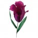 Sizzix™ Thinlits Die Set 5PK - Fringed Tulip by Olivia Rose®