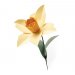 Sizzix® Bigz™ L Die - Daffodil by Olivia Rose®
