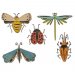 Sizzix® Thinlits™ Die Set 5PK- Funky Insects by Tim Holtz®